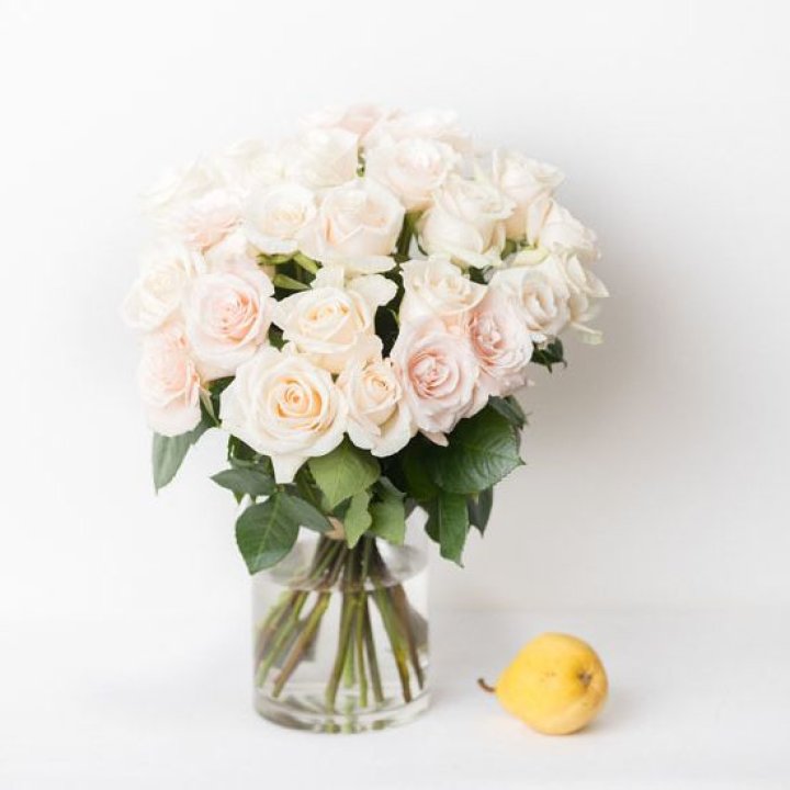 25 кремовых роз в Королёве