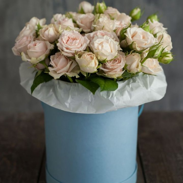 Бокс с бомбастиком в Королёве