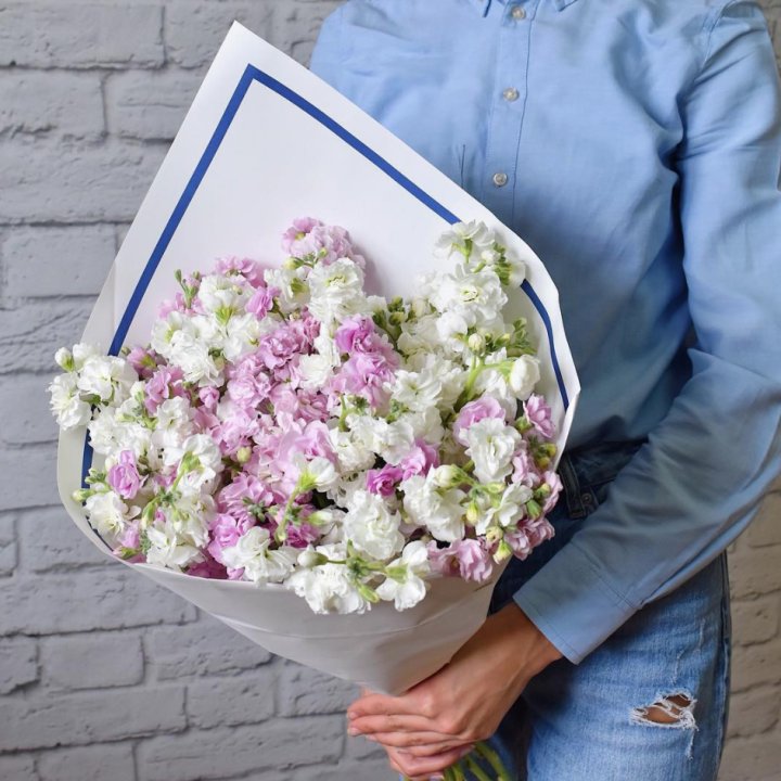 Маттиола в Королёве