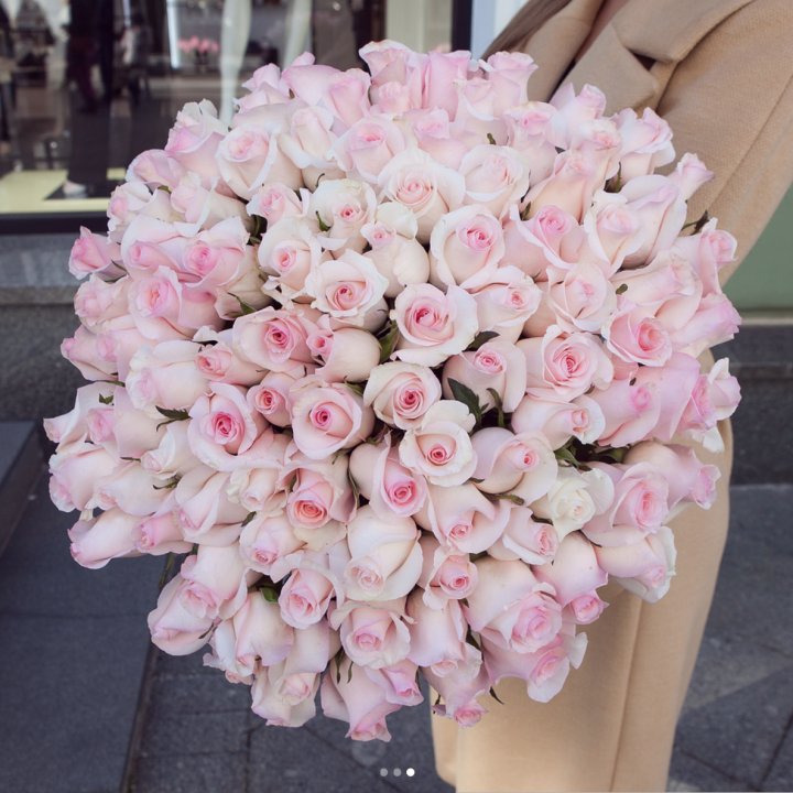 Розы "Пинк бум" в Королёве