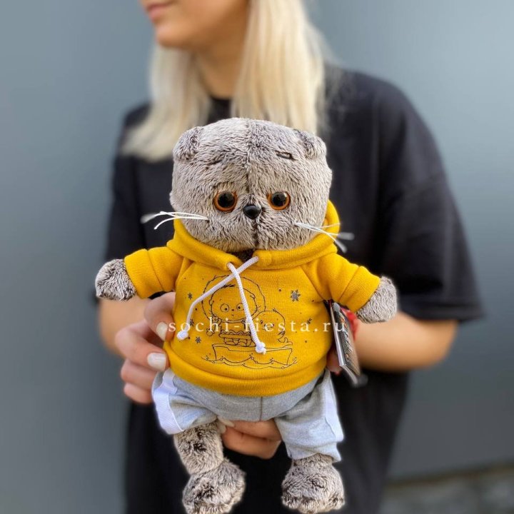 Кот Басик в худи в Королёве
