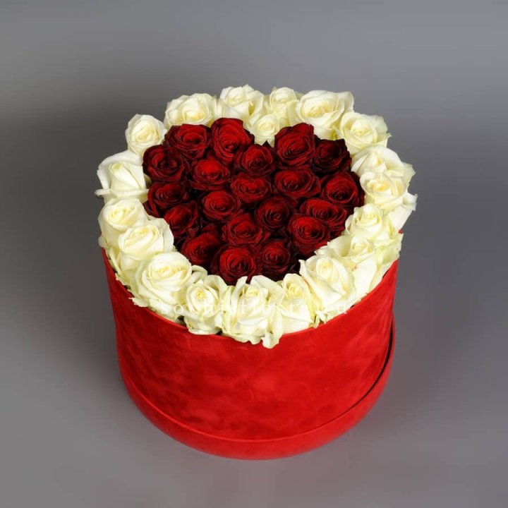 39 красных и белых роз в цилиндре в Королёве