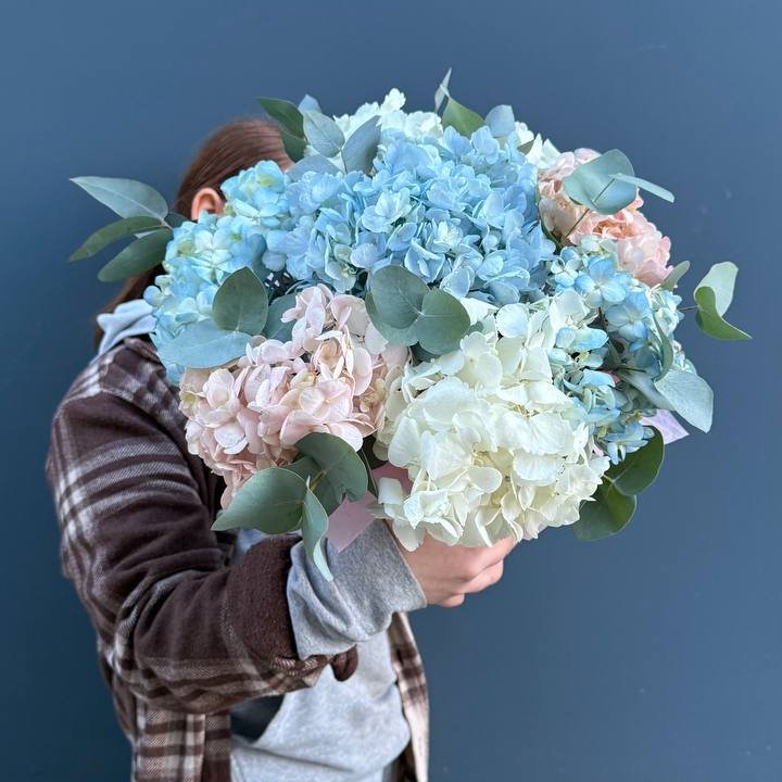 Гортензии в коробочке в Королёве