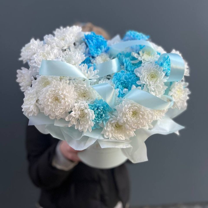 Хризнтемы в боксе в Королёве