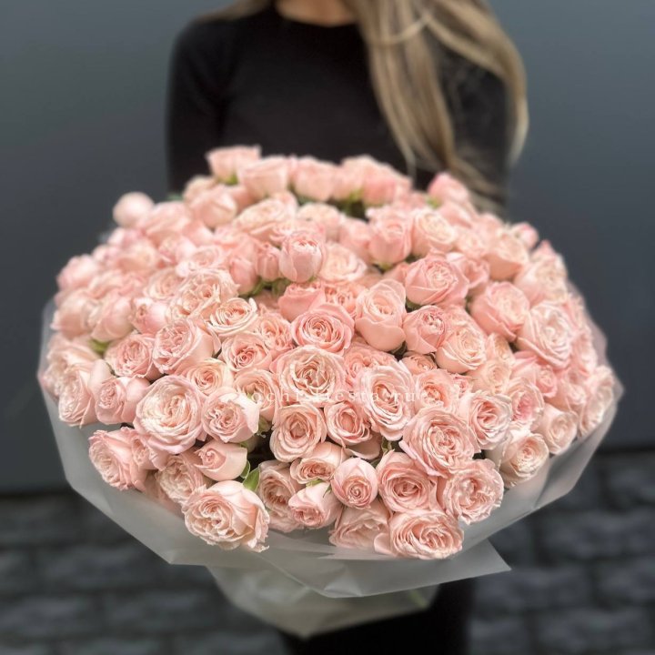 51 кустовая роза Бомбастик в Королёве