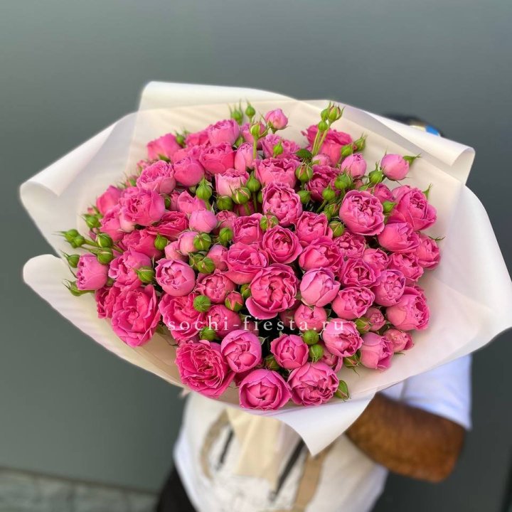 Мисти Баблс 35шт в Королёве