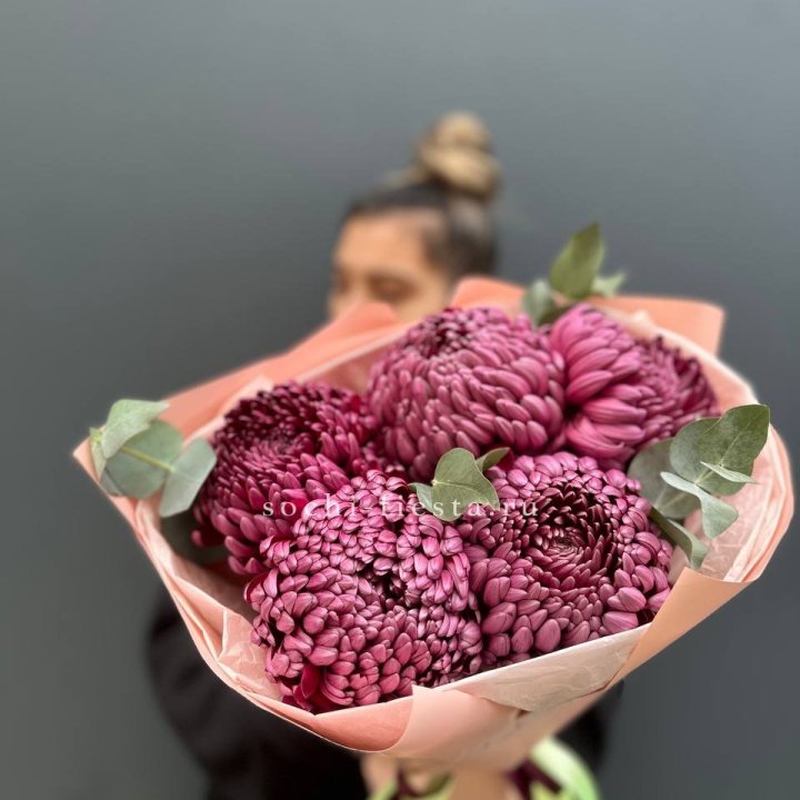 Хризантемы  Бигуди  в Королёве