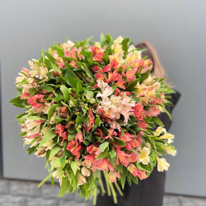 51 альстромерия в Королёве