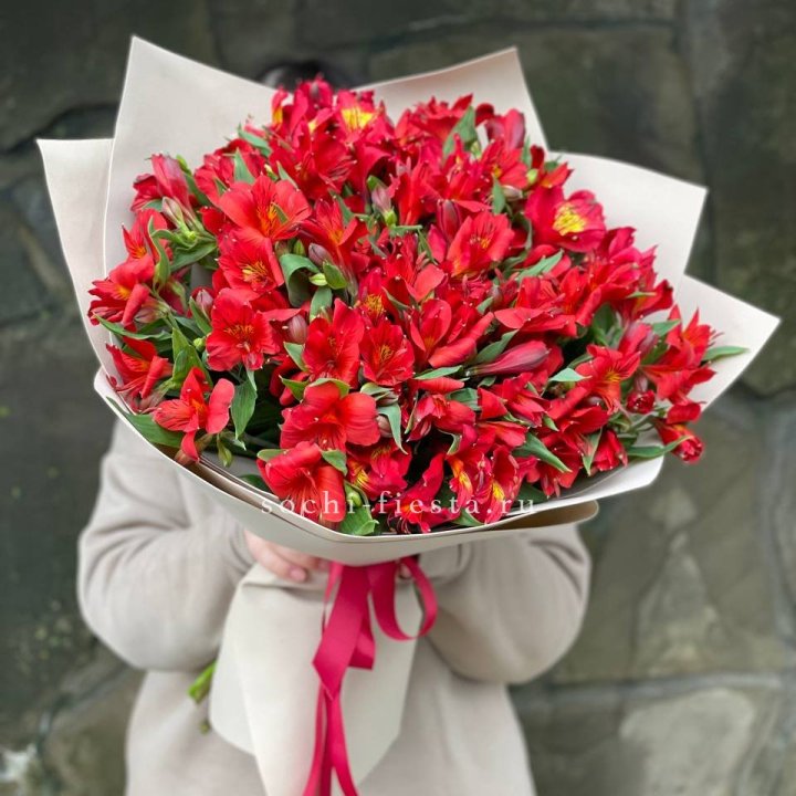 51 альстромерия в Королёве