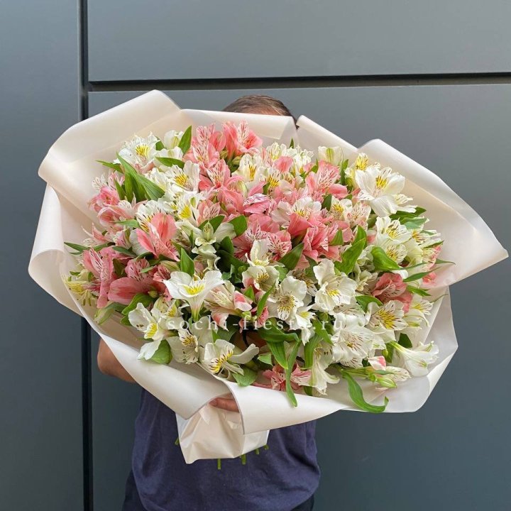 39 альстромерий в Королёве