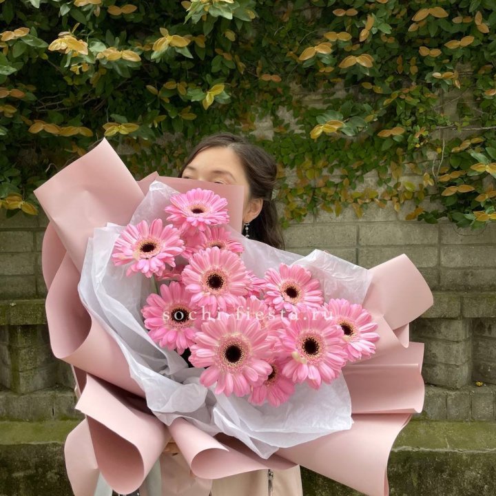 13 розовых гербер в Королёве