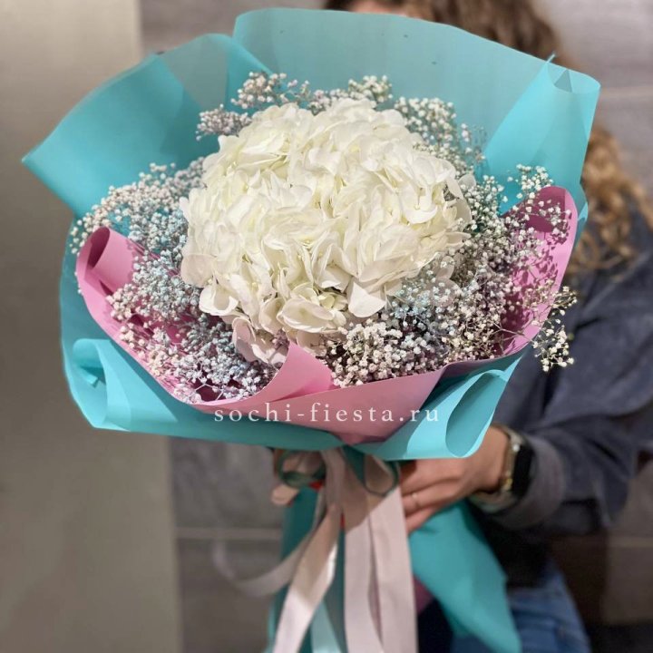 Гортензия "Райдов" в Королёве