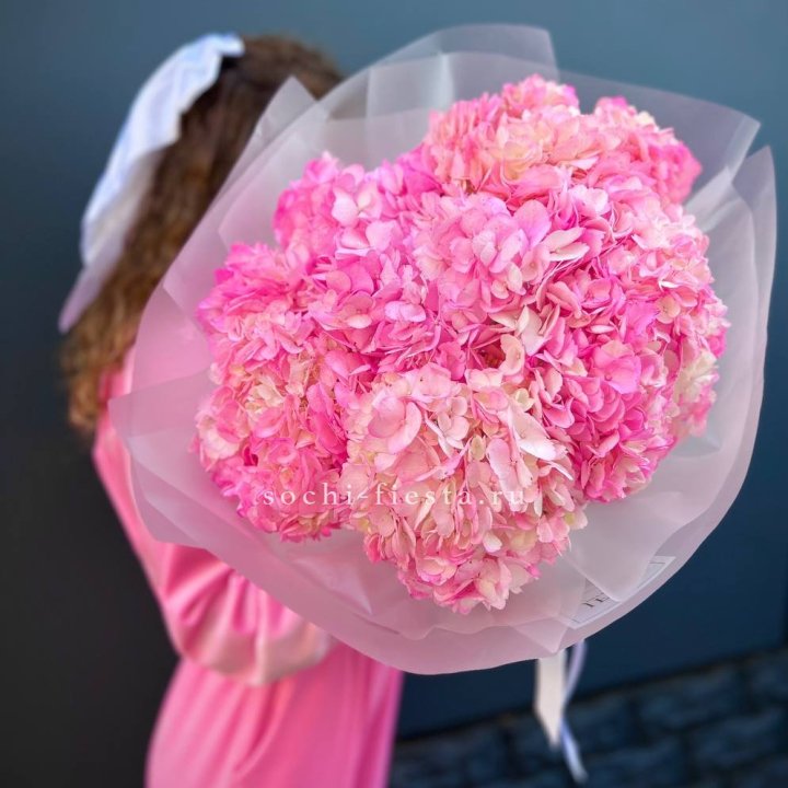 7 ярко розовых гортензий в Королёве