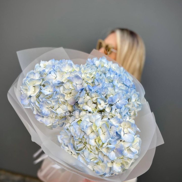 Букет из 3 голубых гортензий  в Королёве