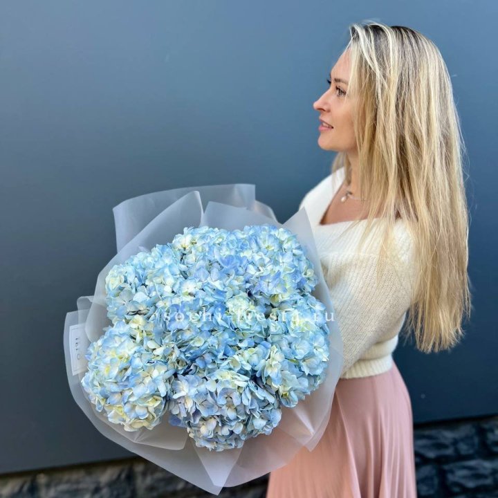 7 голубых гортензий в Королёве