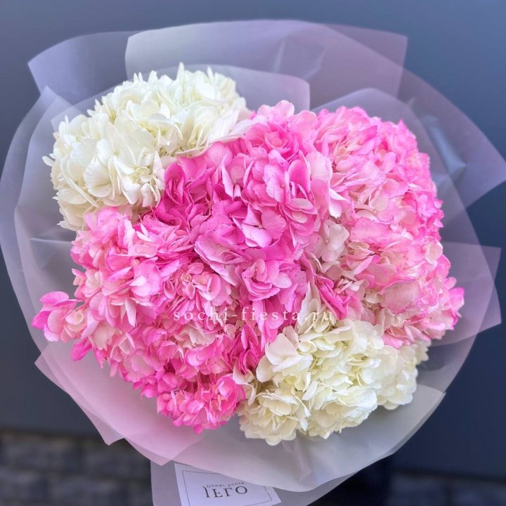 5 бело-розовых гортензий в Королёве