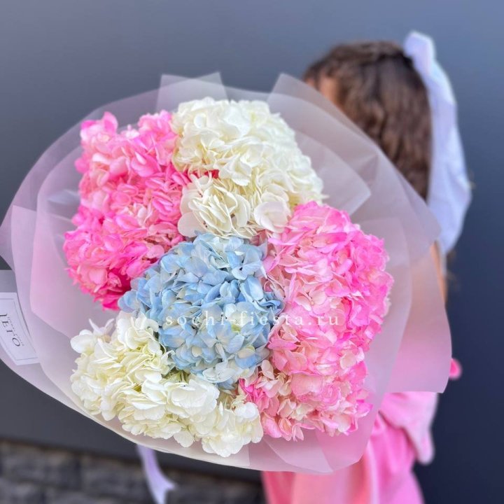 7 гортензий микс в Королёве