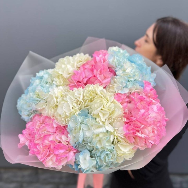 9 гортензий микс в Королёве