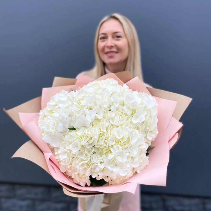 Гортензия белая в Королёве