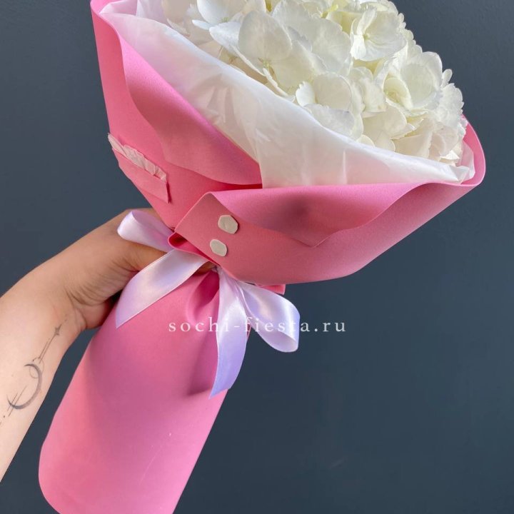 Гортензия в розовом пиджаке в Королёве