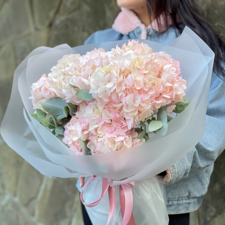 5 розовых гортензий в Королёве