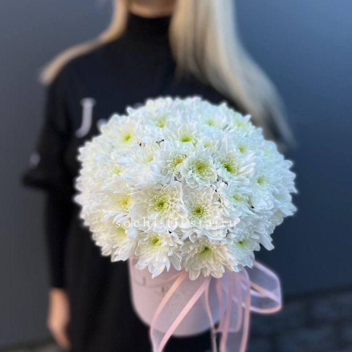 Коробка с хризантемами №1 в Королёве