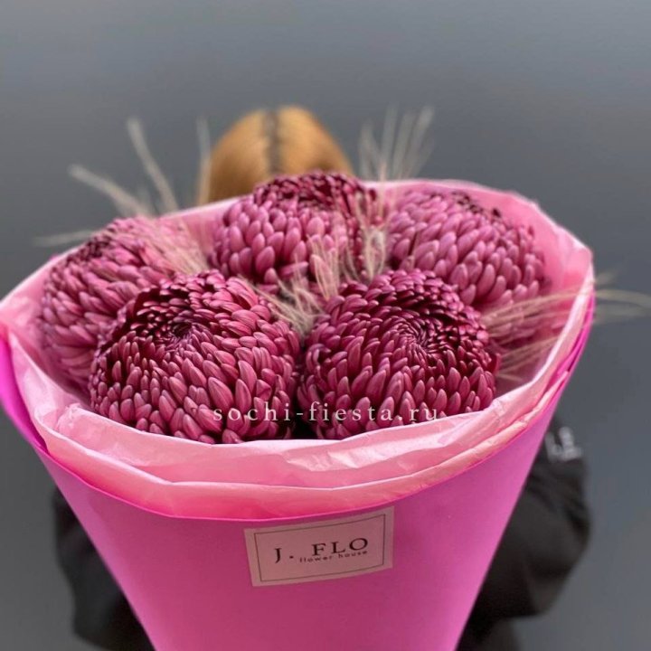 Хризантемы  Бигуди с стифой в Королёве