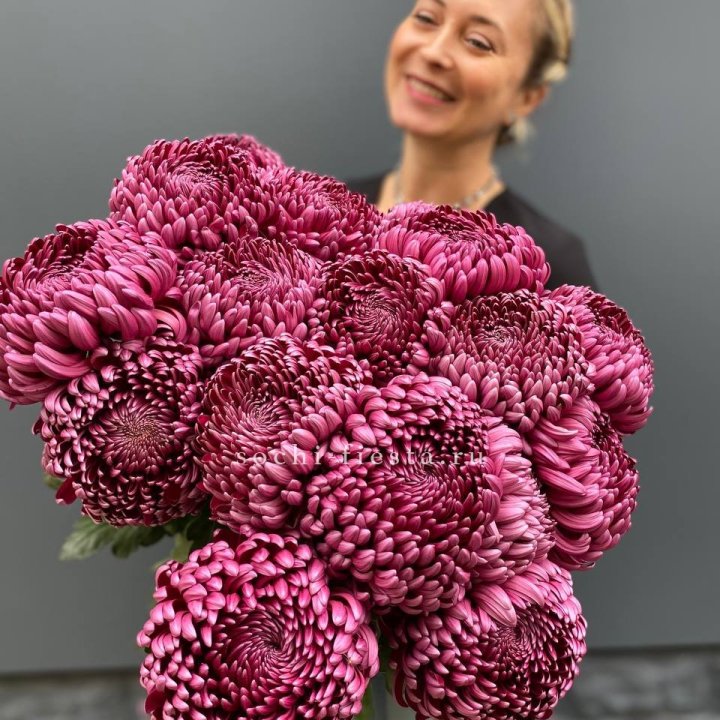 Охапка хризантем Бигуди в Королёве