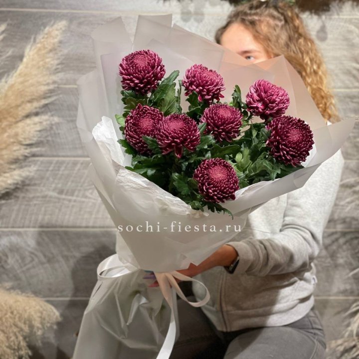 Хризантемы Бигуди в Королёве