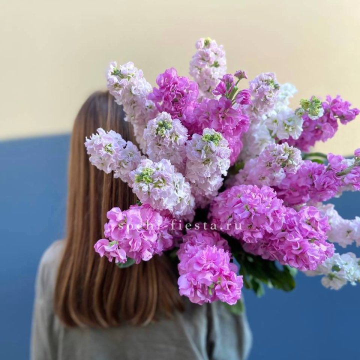 Охапка маттиолы в Королёве