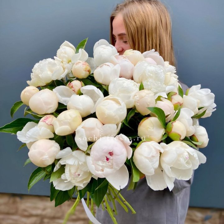 Охапка пионов в Королёве