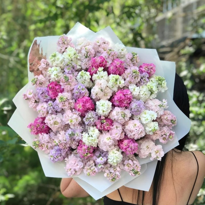 Букет ароматной маттиоллы №3 в Королёве