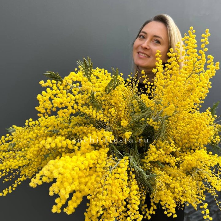Охапка мимозы №2 в Королёве