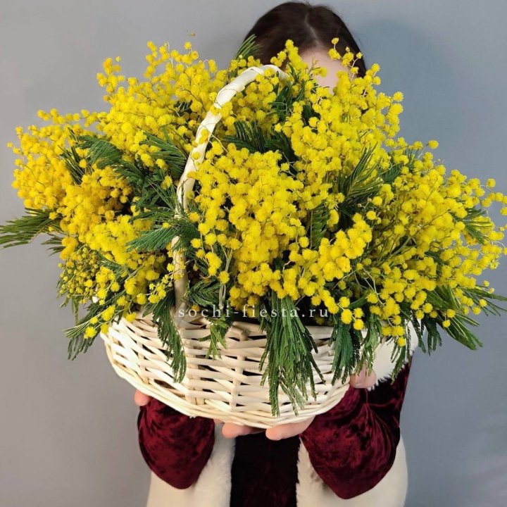Корзина ароматной мимозы в Королёве