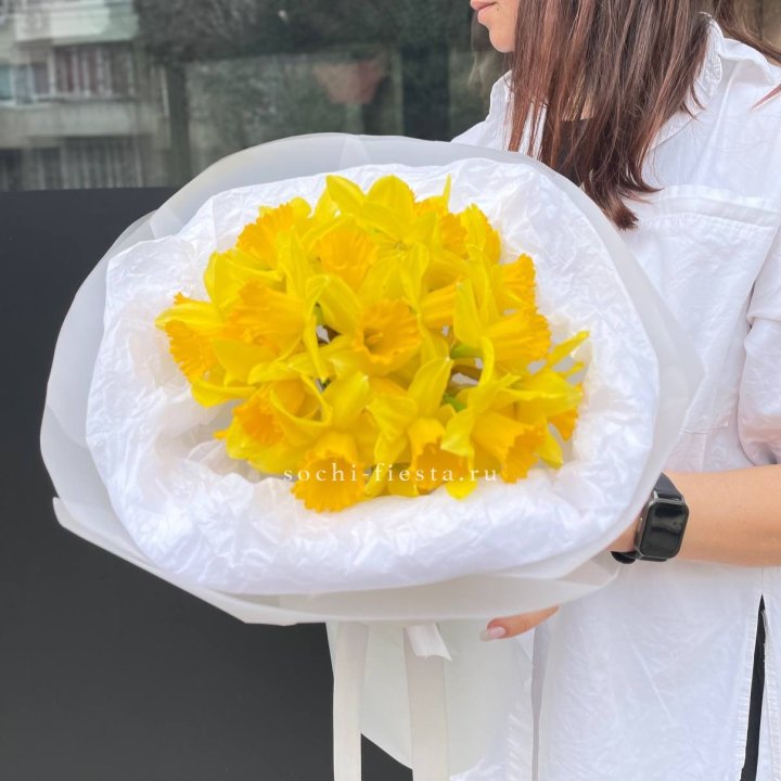 Нарциссы 25 шт в Королёве