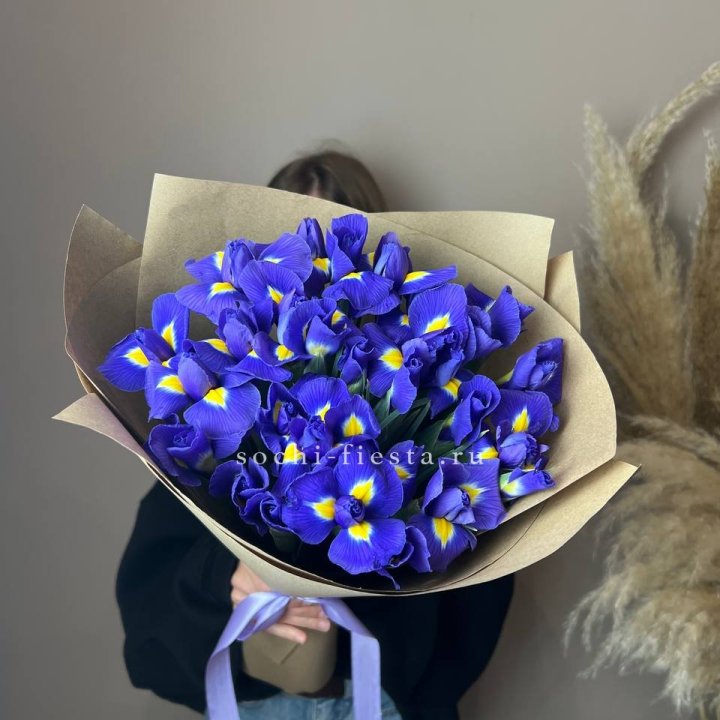 Ирисы в Королёве