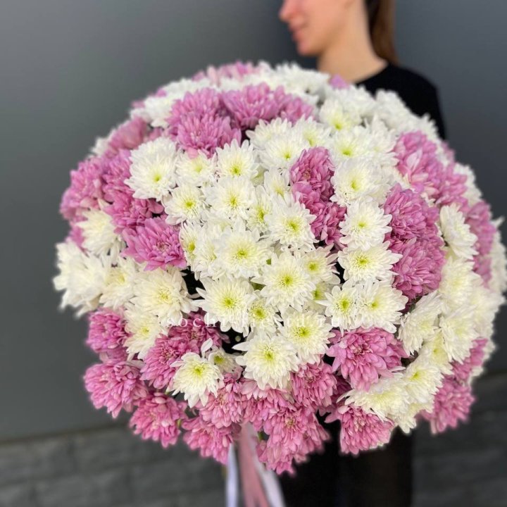  Букет 25 хризантем микс в Королёве