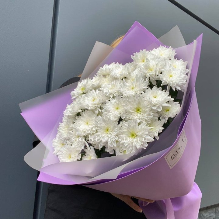  7 хризантем  в Королёве