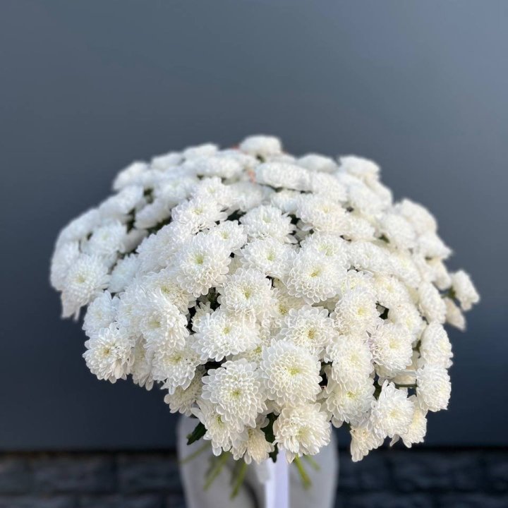  25 хризантем белых в Королёве