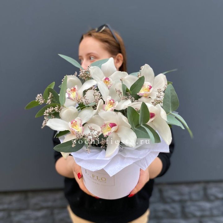 7 орхидей в боксе в Королёве