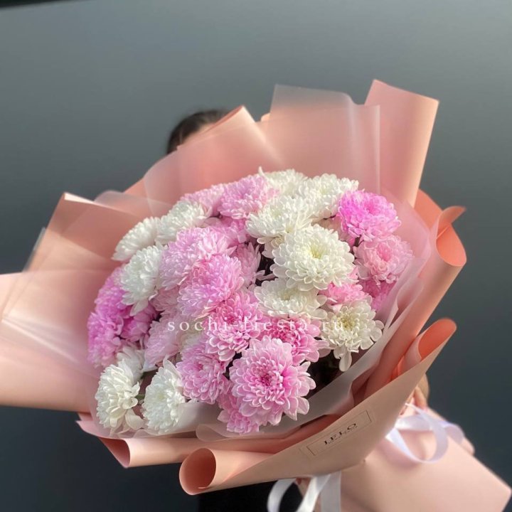 Букет бело-розовых хризантем  в Королёве