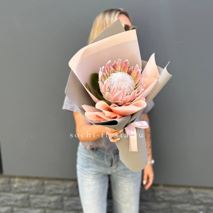 Протея мини  в Королёве