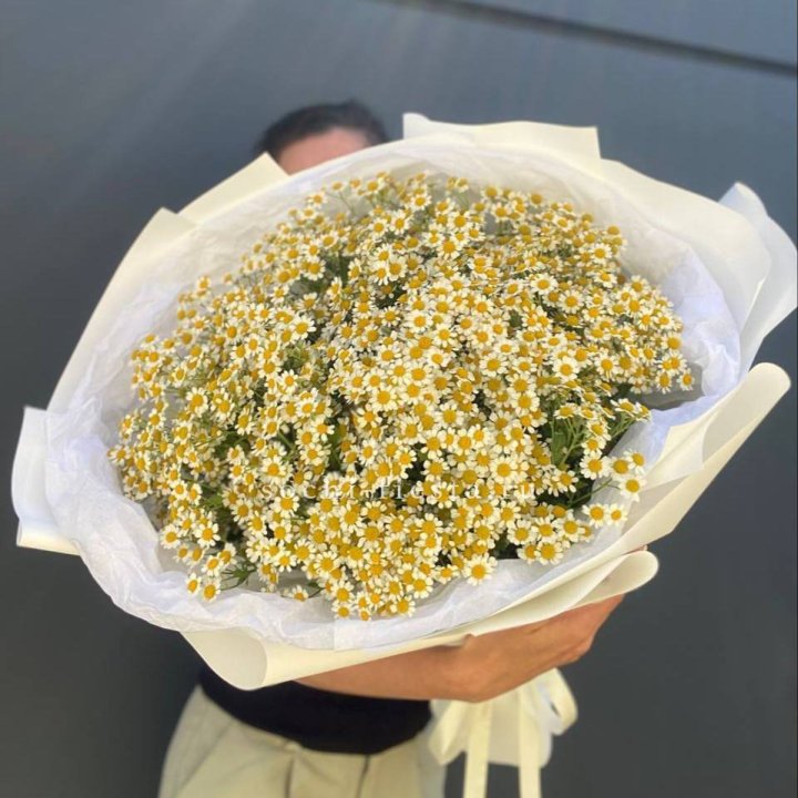 Букет ромашек №2 в Королёве