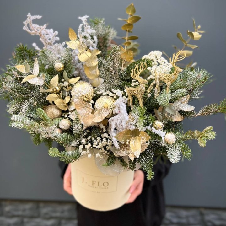 Золотой бокс с нобилисом в Королёве