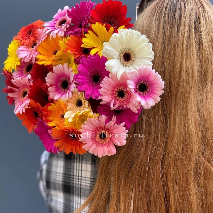 Охапка гербер  в Королёве