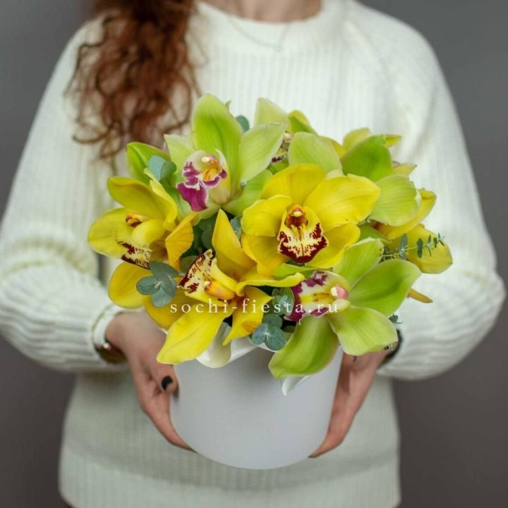 Бокс с орхидей №1 в Королёве