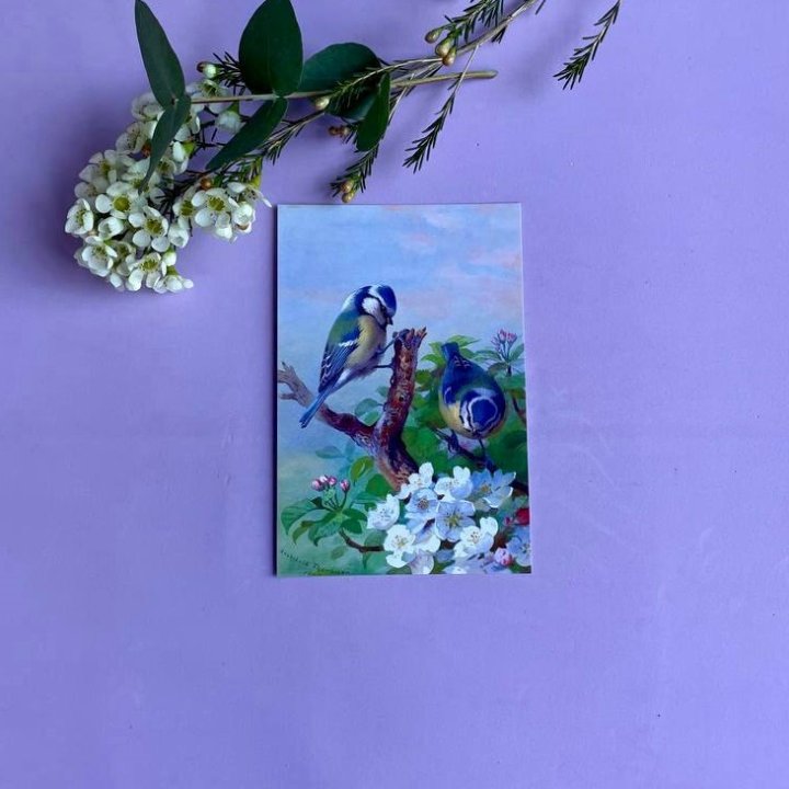 Открытка к букету "Птицы" в Королёве