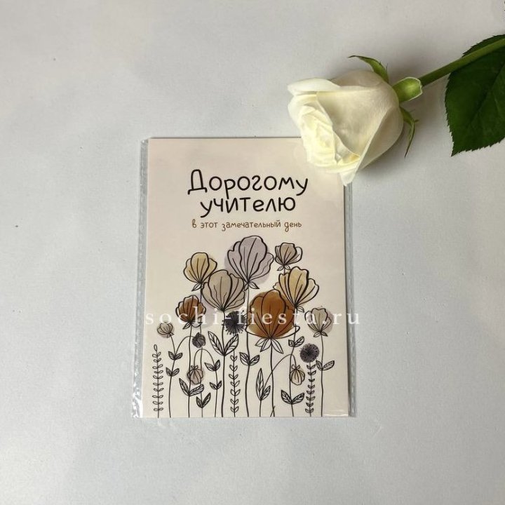 Открытка к букету "Дорогому учителю" в Королёве