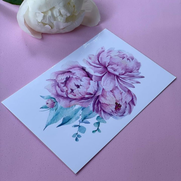 Открытка к букету "Пионы" в Королёве