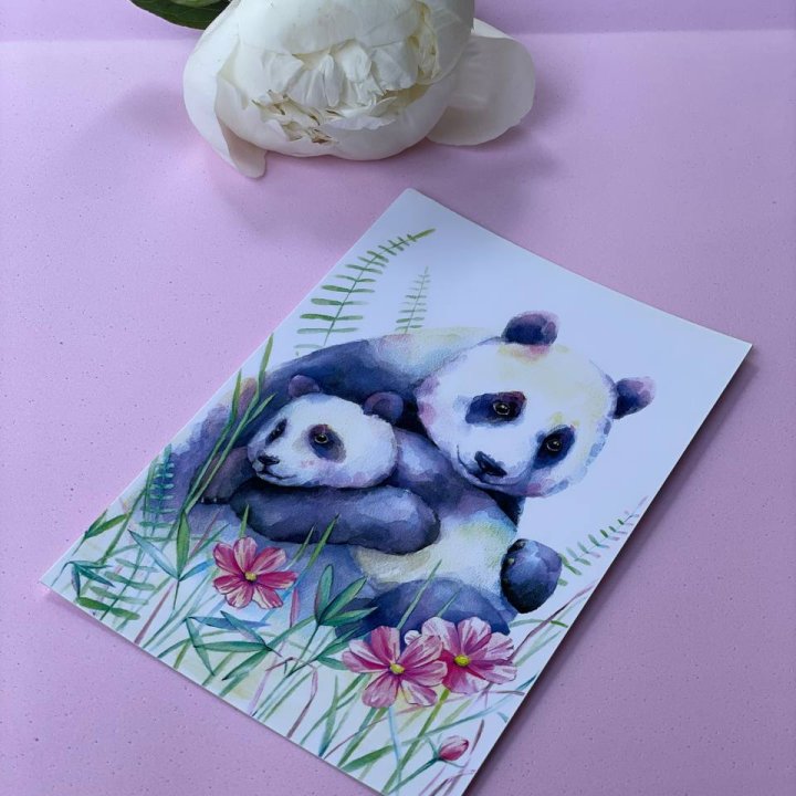 Открытка к букету "Объятие Панды" в Королёве